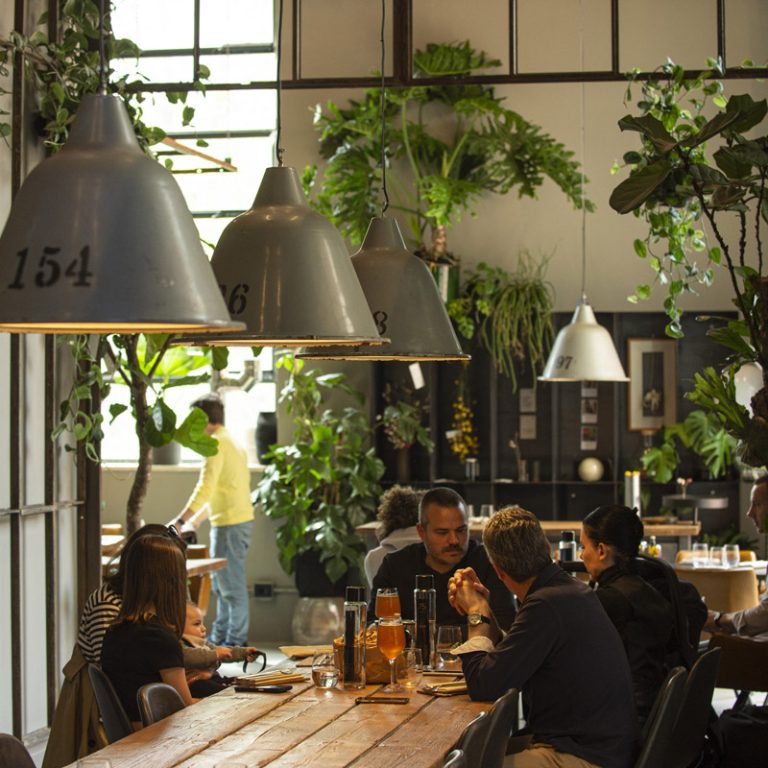 gallery_bulli-e-balene